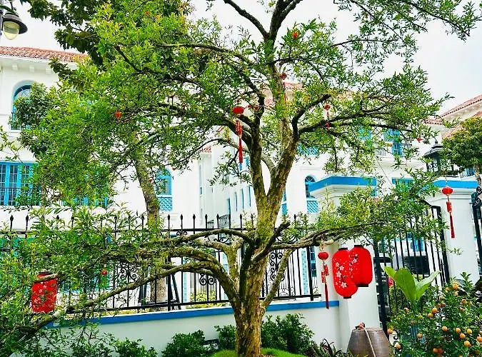 Villa The View Bay Hạ Long